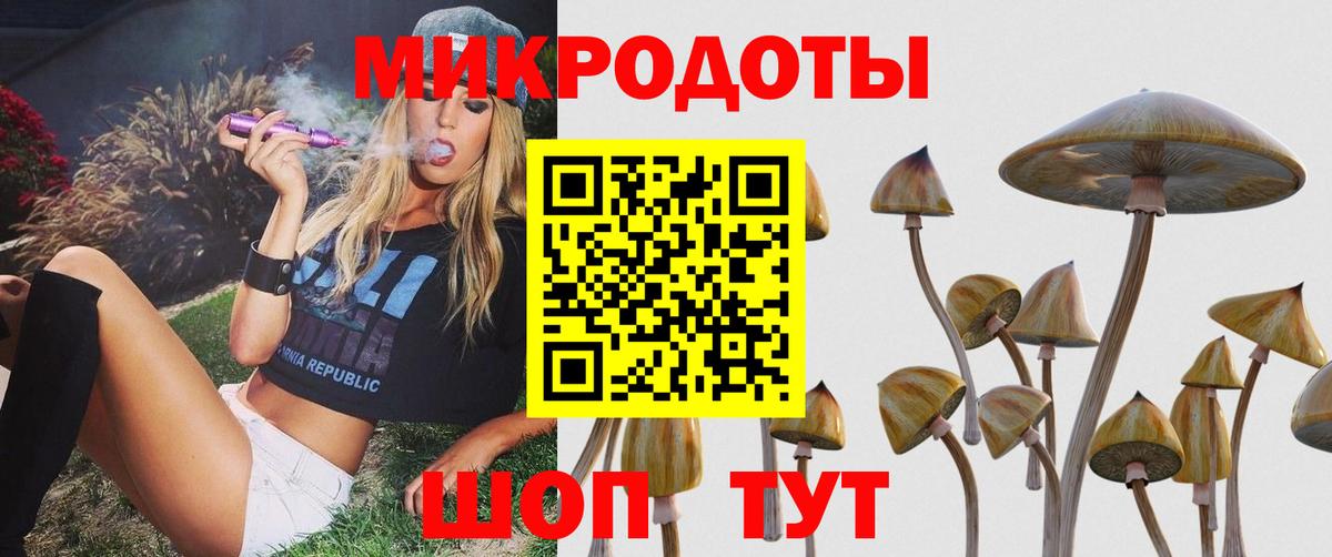 цены   Вход с VPN  Чайковский  Псилоцибиновые грибы GOLDEN TEACHER 
